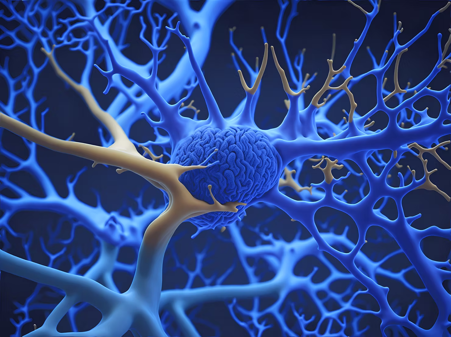 Growth Mindsets and Neuroplasticity